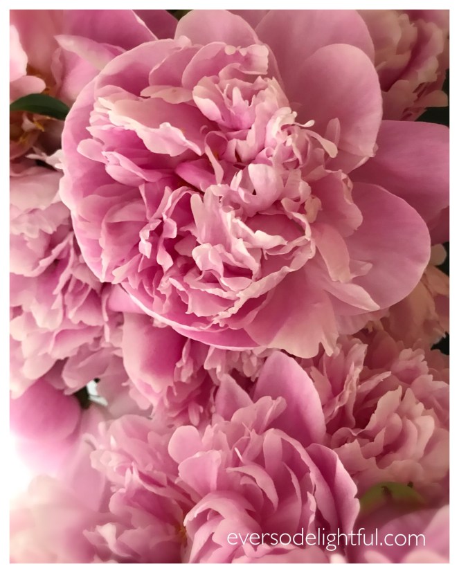 3C865D22-0D03-46D8-ADE6-DE764938A743